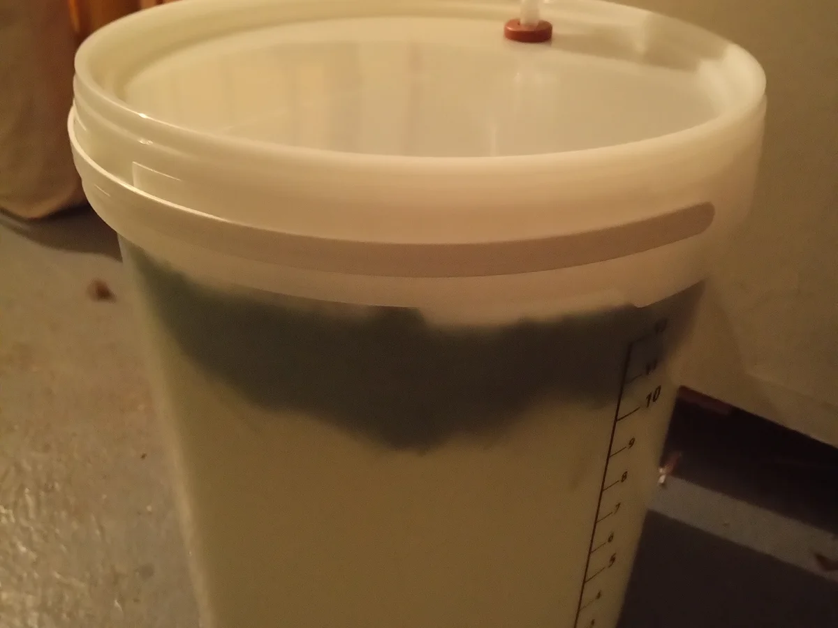 Colastrauch Sirup - Rezept - Bild Nr. 3