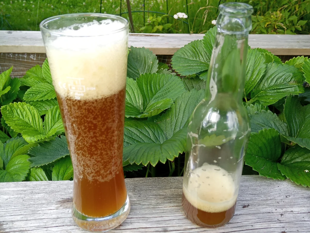 Brenneselbier - Rezept - Bild Nr. 2