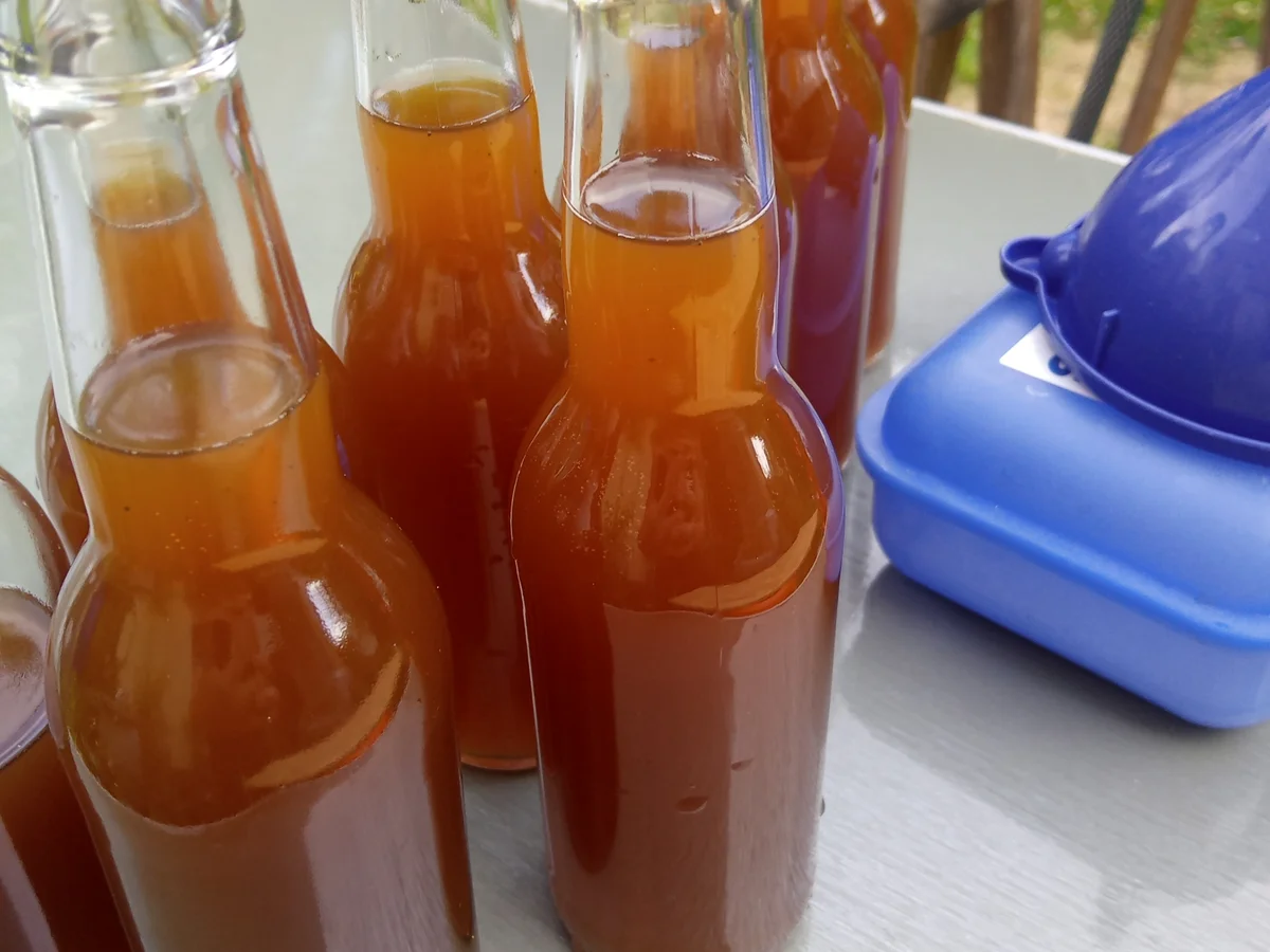 Brenneselbier - Rezept - Bild Nr. 9