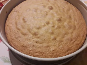 Rezept: Spülschwamm - Zitronenkuchen Bild Nr. 10913 Spülschwamm - Zitronenkuchen - Rezept - Bild Nr. 10913