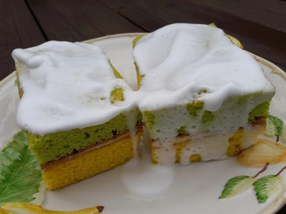 Rezept: Spülschwamm - Zitronenkuchen Bild Nr. 10920 Spülschwamm - Zitronenkuchen - Rezept - Bild Nr. 10920