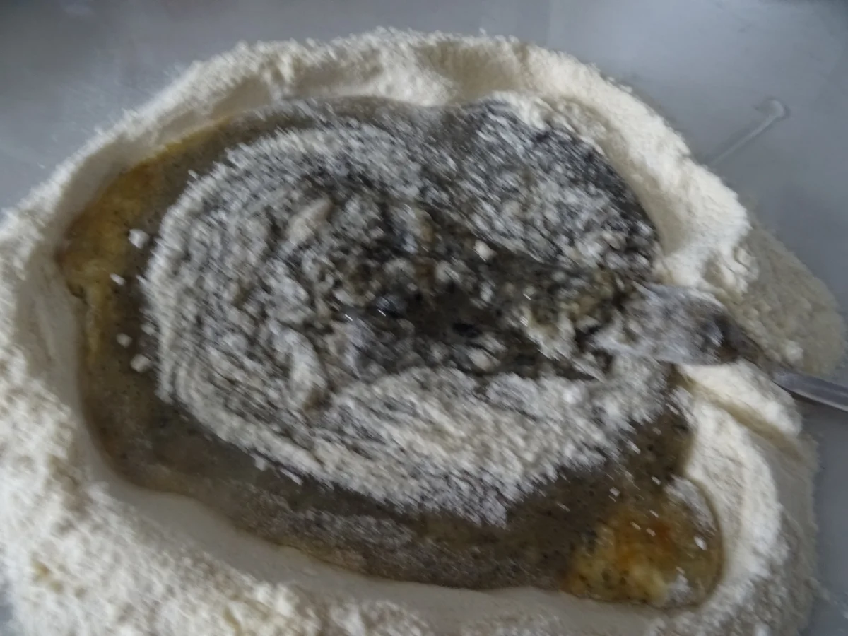 Sepia-Tagliatelle mit Tomaten-Ragout und Großgarnelen - Rezept - Bild Nr. 10910