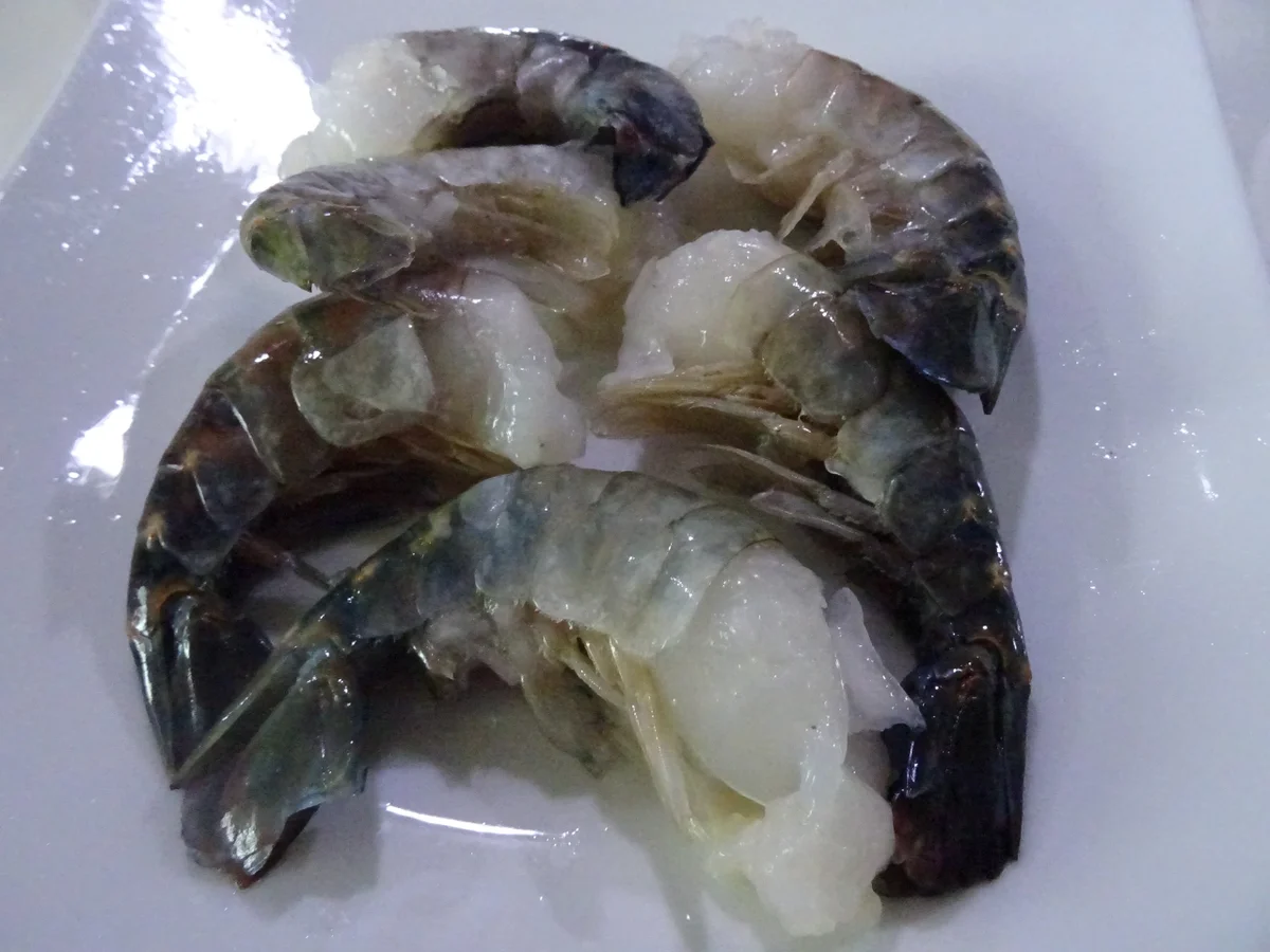 Sepia-Tagliatelle mit Tomaten-Ragout und Großgarnelen - Rezept - Bild Nr. 10912