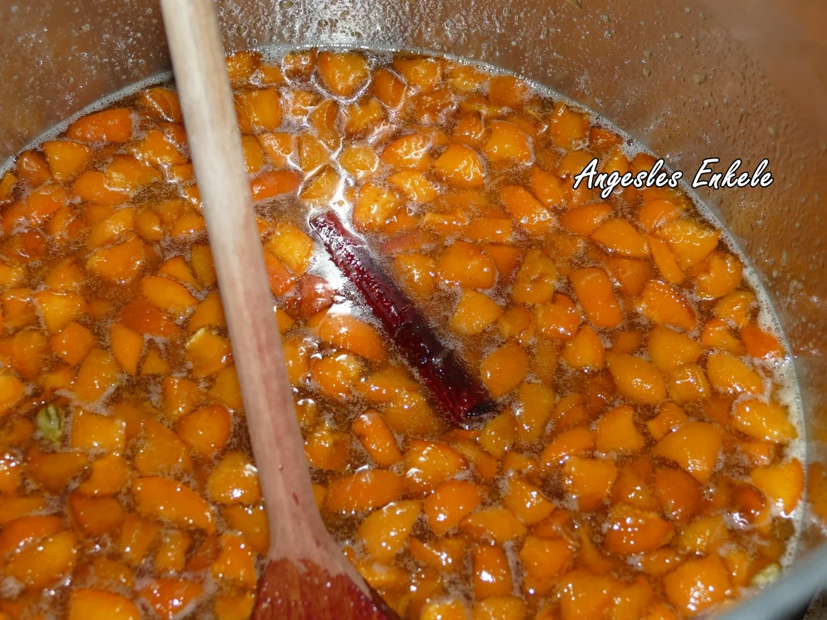 Ingwer-/Aprikosen-Marmelade - Rezept - Bild Nr. 7