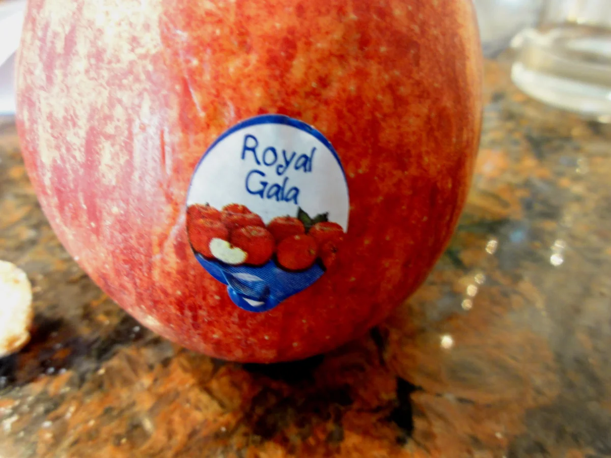 Rezept: Dessert: APFEL ~ ESPRESSO ~ TIRAMISU Bild Nr. 6 Dessert: APFEL ~ ESPRESSO ~ TIRAMISU - Rezept - Bild Nr. 6