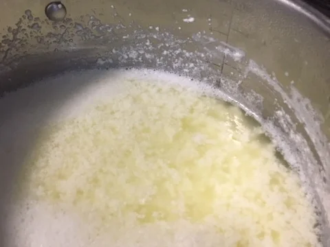 Paneer - Rezept - Bild Nr. 4