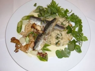 Rezept: Hering auf Risotto von frischen Wildkräutern und Spargel Hering auf Risotto von frischen Wildkräutern und Spargel - Rezept