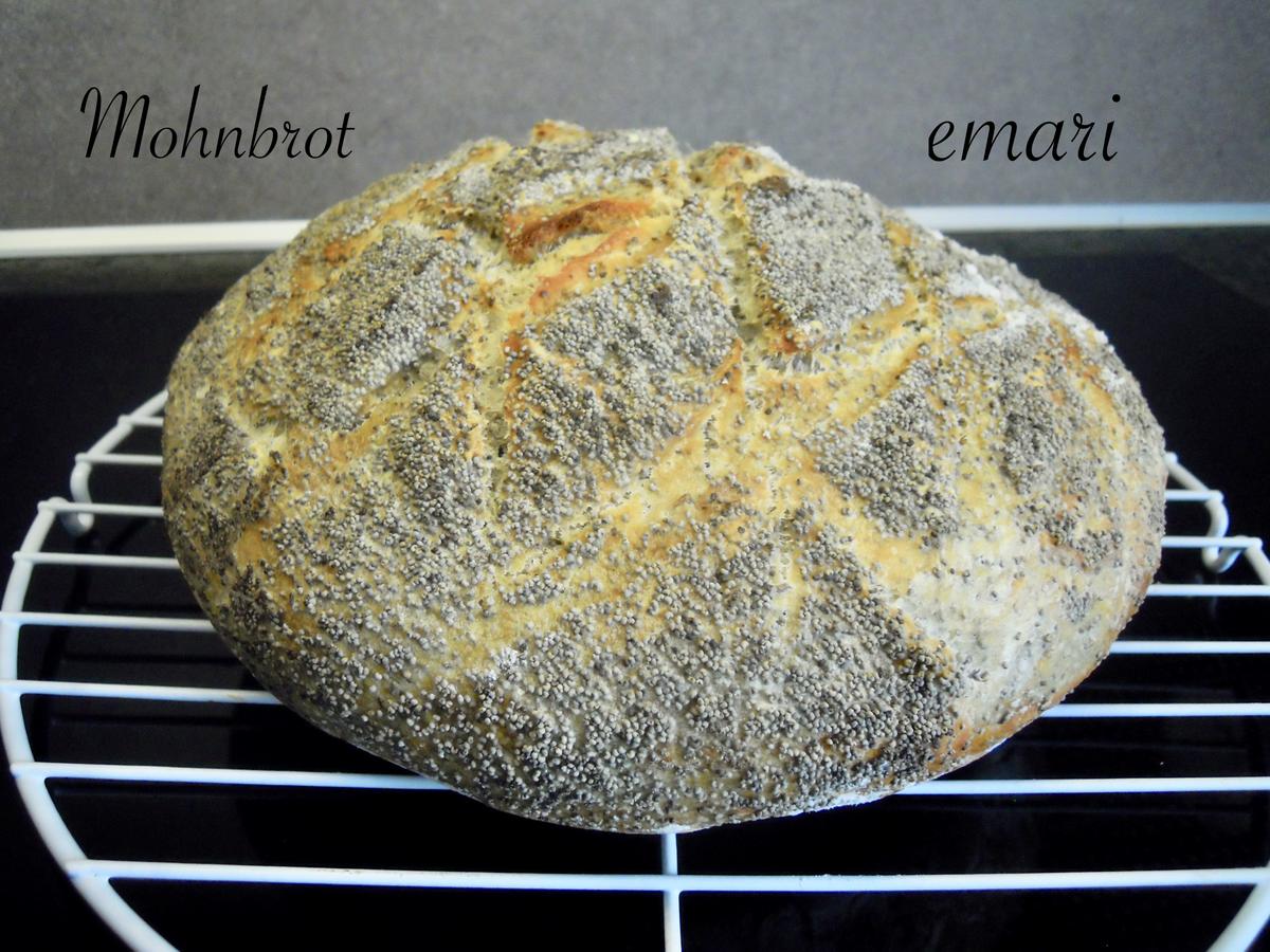 Mohn Brot - Rezept - Bild Nr. 9