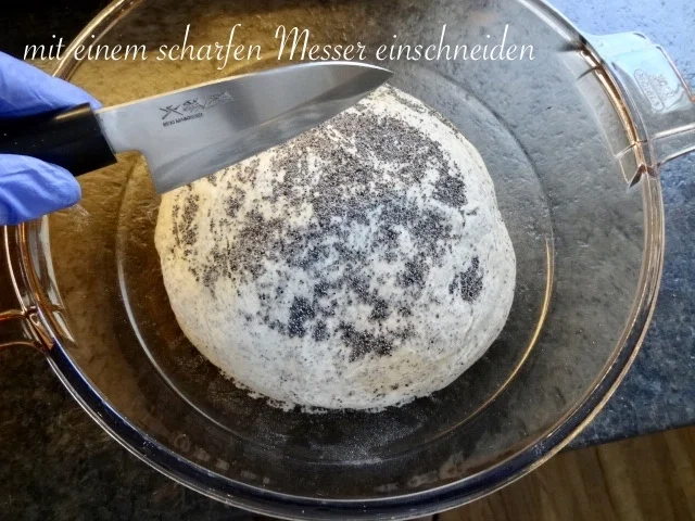 Rezept: Mohn Brot Bild Nr. 14 Mohn Brot - Rezept - Bild Nr. 14