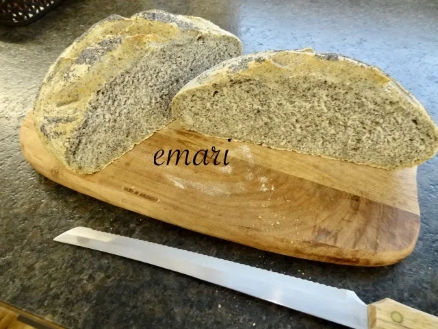 Rezept: Mohn Brot Bild Nr. 16 Mohn Brot - Rezept - Bild Nr. 16