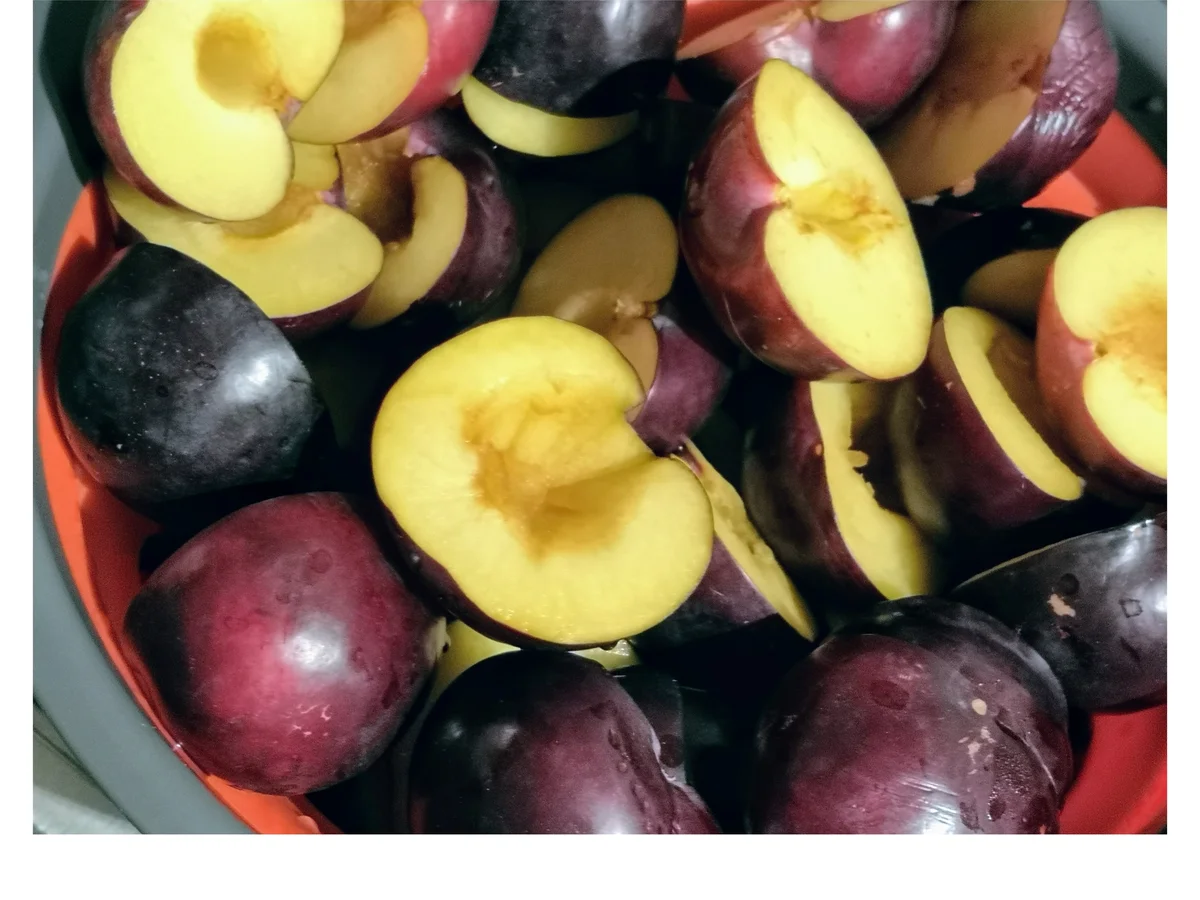 Rezept: BiNe` S PFLAUMENMARMELADE Bild Nr. 5 BiNe` S PFLAUMENMARMELADE - Rezept - Bild Nr. 5