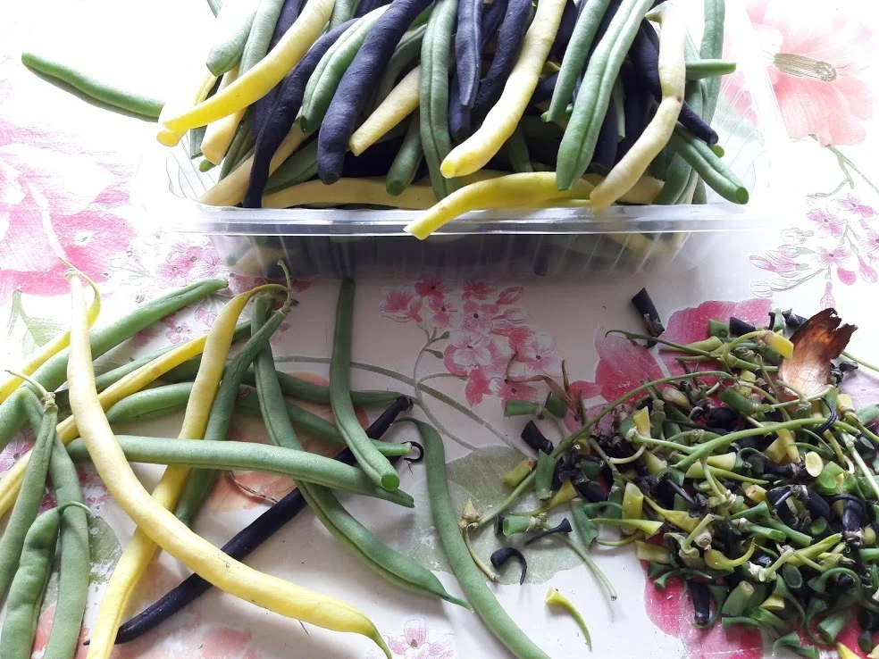 Hähnchenfilet mit bunten Bohnen - Rezept - Bild Nr. 5