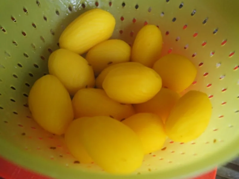 Sauerkrautrouladen mit Rahmsauce, Apfel Rotkohl und Drillingen - Rezept - Bild Nr. 22