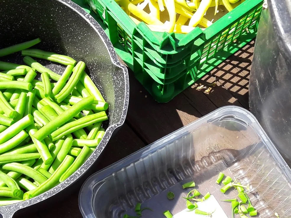 Rezept: Schweinefilet mit Grünen Bohnen und einer hellen Soße Bild Nr. 6 Schweinefilet mit Grünen Bohnen und einer hellen Soße - Rezept - Bild Nr. 6