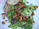 Rezept: Blattsalate mit (Un-)Kräutern, gebratenen Pfifferlingen und Speckwürfeln Bild Nr. 2 Blattsalate mit (Un-)Kräutern, gebratenen Pfifferlingen und Speckwürfeln - Rezept - Bild Nr. 2