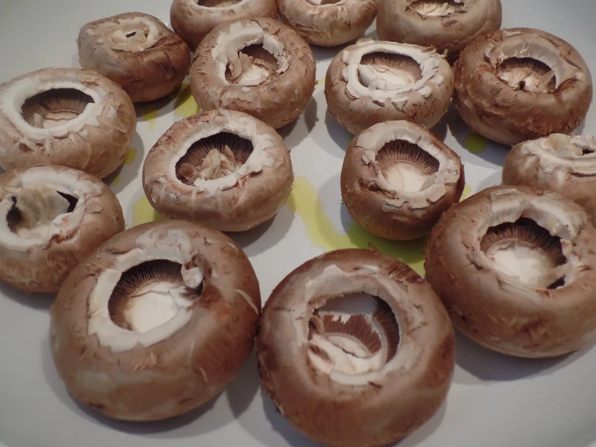 Gefüllte Champignons - Rezept - Bild Nr. 10926