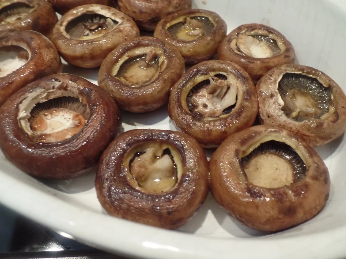 Gefüllte Champignons - Rezept - Bild Nr. 10928