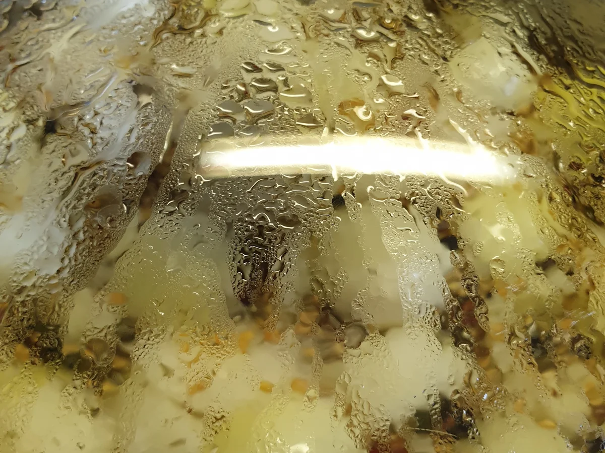 Senfgurken - Rezept - Bild Nr. 3