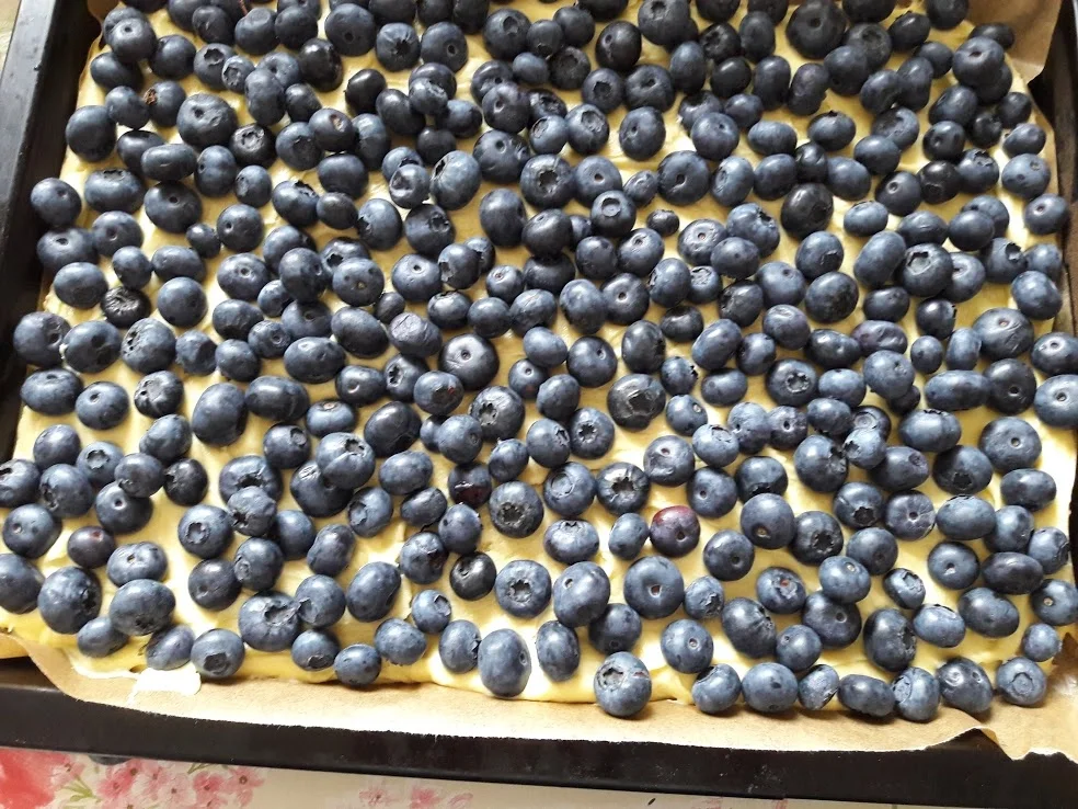 Rezept: Blaubeerkuchen Bild Nr. 7 Blaubeerkuchen - Rezept - Bild Nr. 7