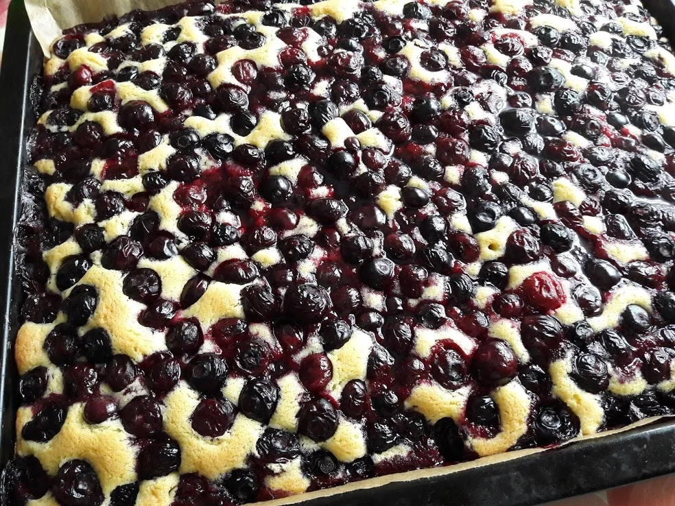 Rezept: Blaubeerkuchen Bild Nr. 13 Blaubeerkuchen - Rezept - Bild Nr. 13