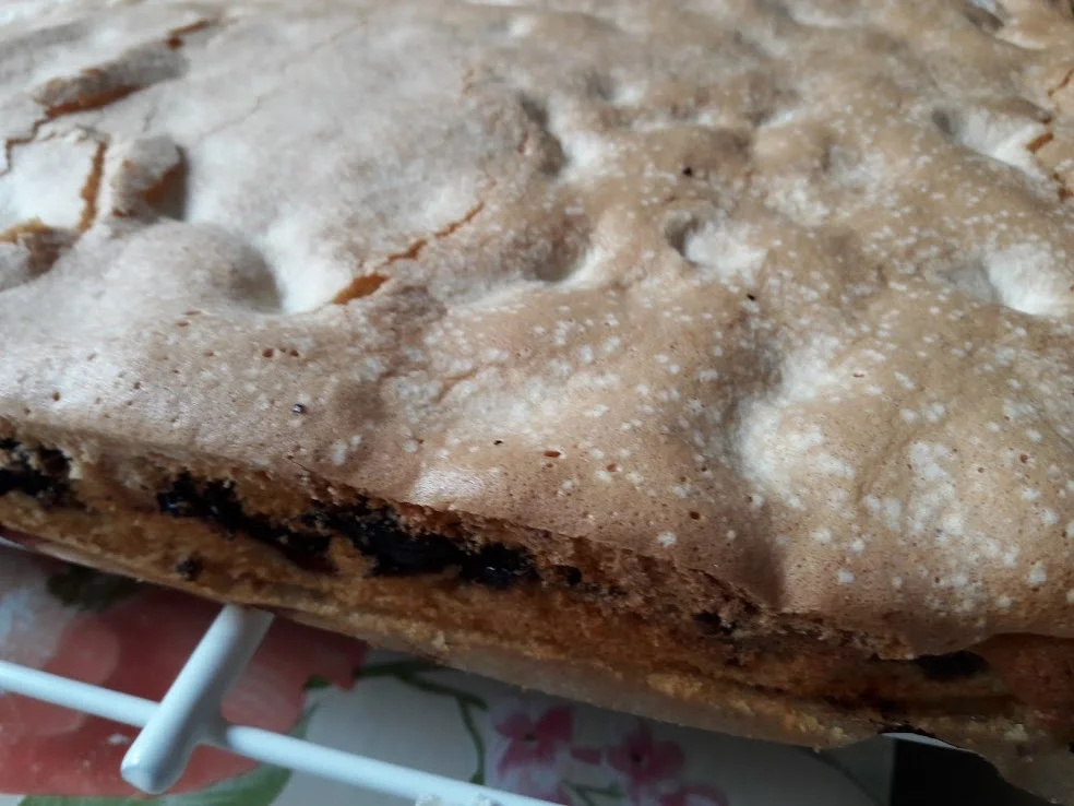 Rezept: Blaubeerkuchen Bild Nr. 15 Blaubeerkuchen - Rezept - Bild Nr. 15