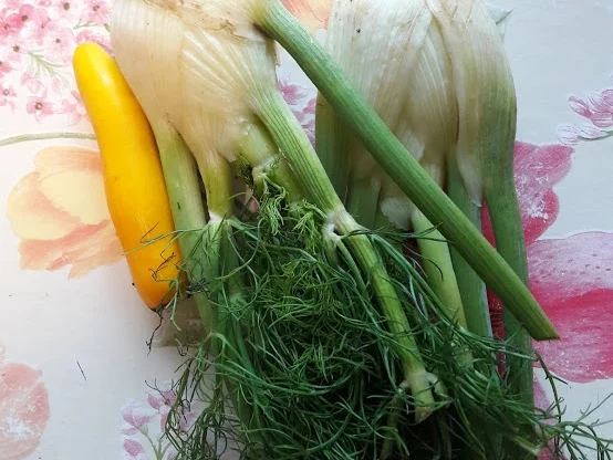 Rezept: Fenchel aus dem Ofen Bild Nr. 6 Fenchel aus dem Ofen - Rezept - Bild Nr. 6