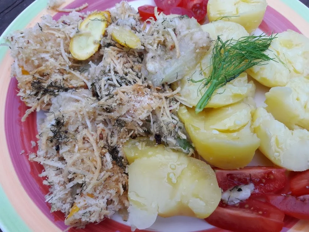 Rezept: Fenchel aus dem Ofen Bild Nr. 13 Fenchel aus dem Ofen - Rezept - Bild Nr. 13