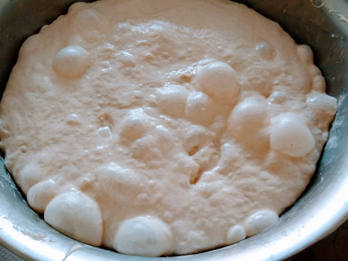 Schwäbische Ur-Kornseelen (II) - Rezept - Bild Nr. 4