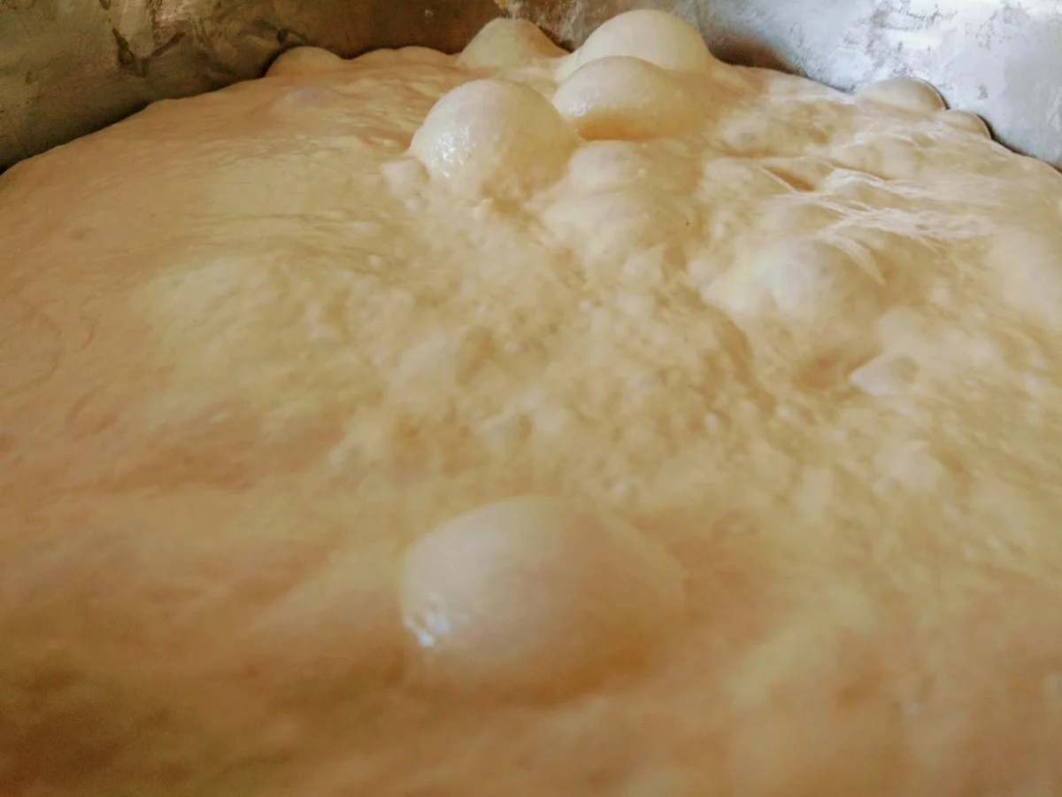 Schwäbische Ur-Kornseelen (II) - Rezept - Bild Nr. 5