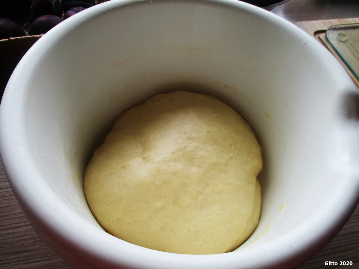 Rezept: Pflaumenkuchen nach Kölner Art (Kölsche Prummetaart) Bild Nr. 8 Pflaumenkuchen nach Kölner Art (Kölsche Prummetaart) - Rezept - Bild Nr. 8