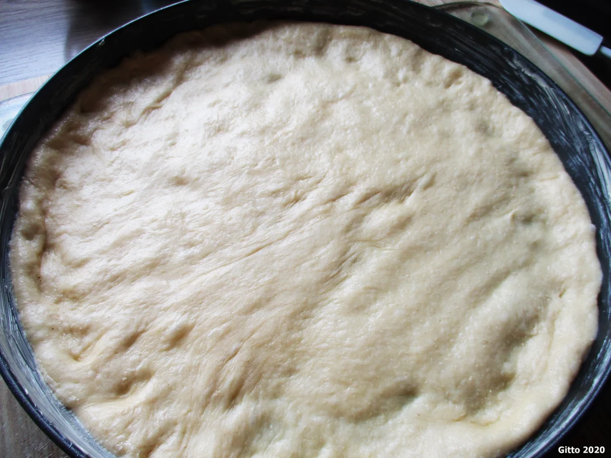 Rezept: Pflaumenkuchen nach Kölner Art (Kölsche Prummetaart) Bild Nr. 9 Pflaumenkuchen nach Kölner Art (Kölsche Prummetaart) - Rezept - Bild Nr. 9