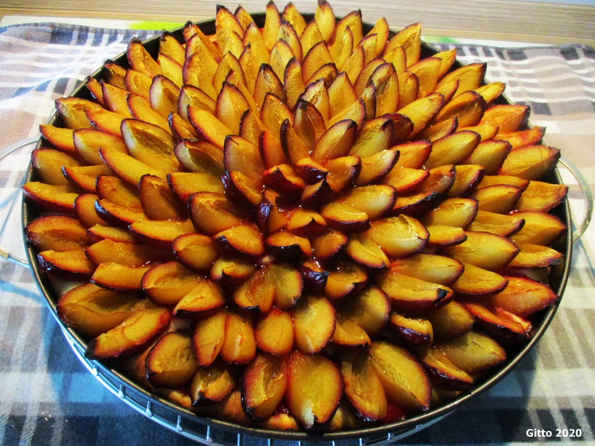 Rezept: Pflaumenkuchen nach Kölner Art (Kölsche Prummetaart) Bild Nr. 12 Pflaumenkuchen nach Kölner Art (Kölsche Prummetaart) - Rezept - Bild Nr. 12