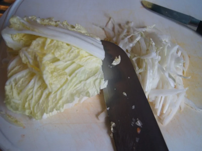 Feurige Suppe mit Einlagenmix - Rezept - Bild Nr. 6