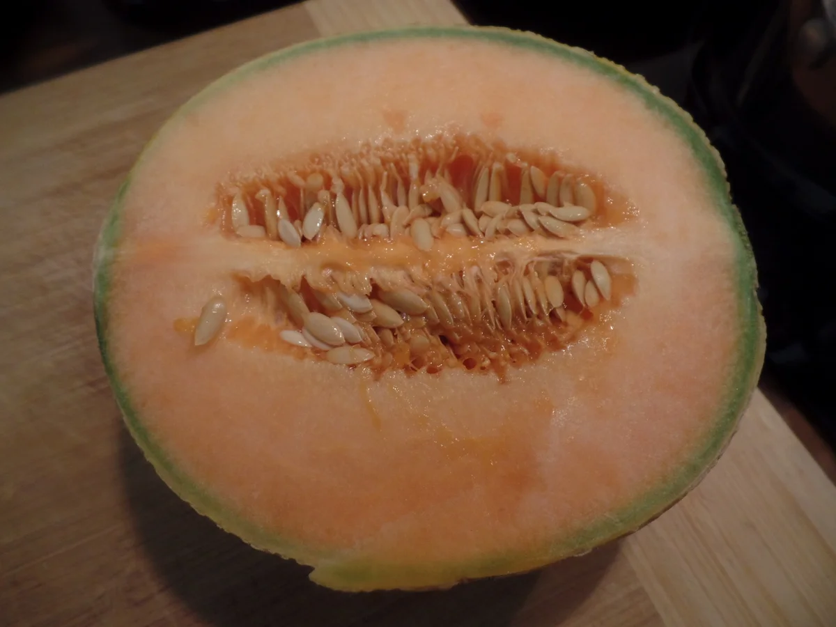 Kalte Möhren-Melonensuppe mit Grissini und Serranoschinken - Rezept - Bild Nr. 10979