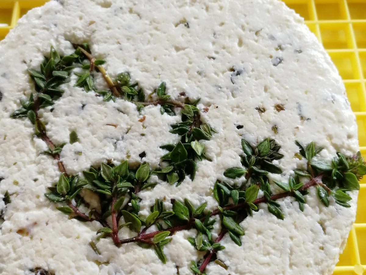 Rezept: Käse selbst hergestellt Bild Nr. 2 Käse selbst hergestellt - Rezept - Bild Nr. 2