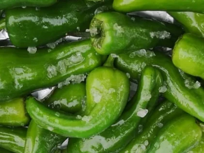 Pimientos de Padron - Rezept - Bild Nr. 2