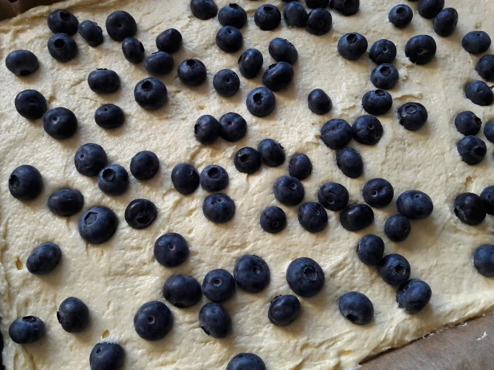 Rezept: Blaubeerkuchen Bild Nr. 8 Blaubeerkuchen - Rezept - Bild Nr. 8