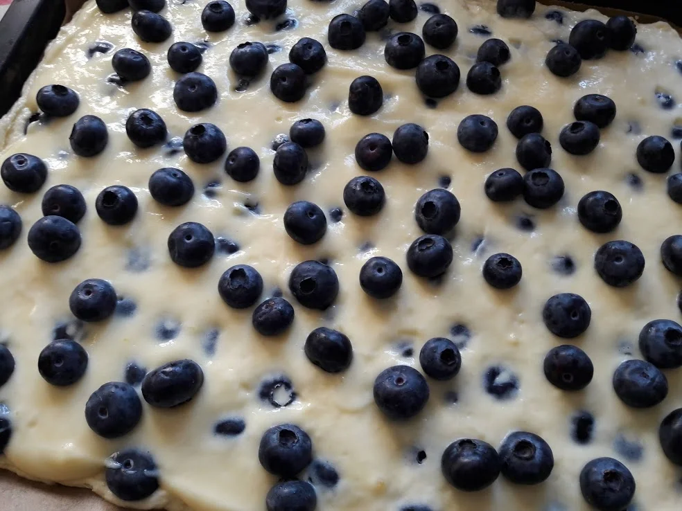 Rezept: Blaubeerkuchen Bild Nr. 9 Blaubeerkuchen - Rezept - Bild Nr. 9