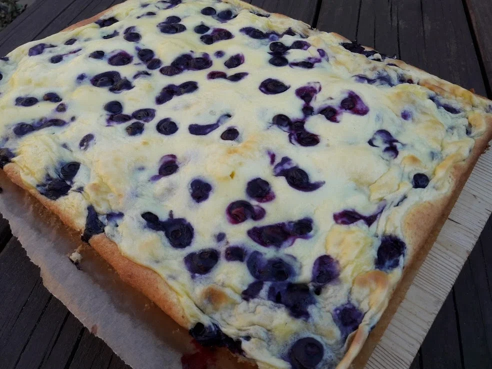 Rezept: Blaubeerkuchen Bild Nr. 12 Blaubeerkuchen - Rezept - Bild Nr. 12