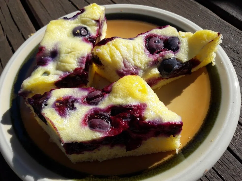 Rezept: Blaubeerkuchen Bild Nr. 16 Blaubeerkuchen - Rezept - Bild Nr. 16