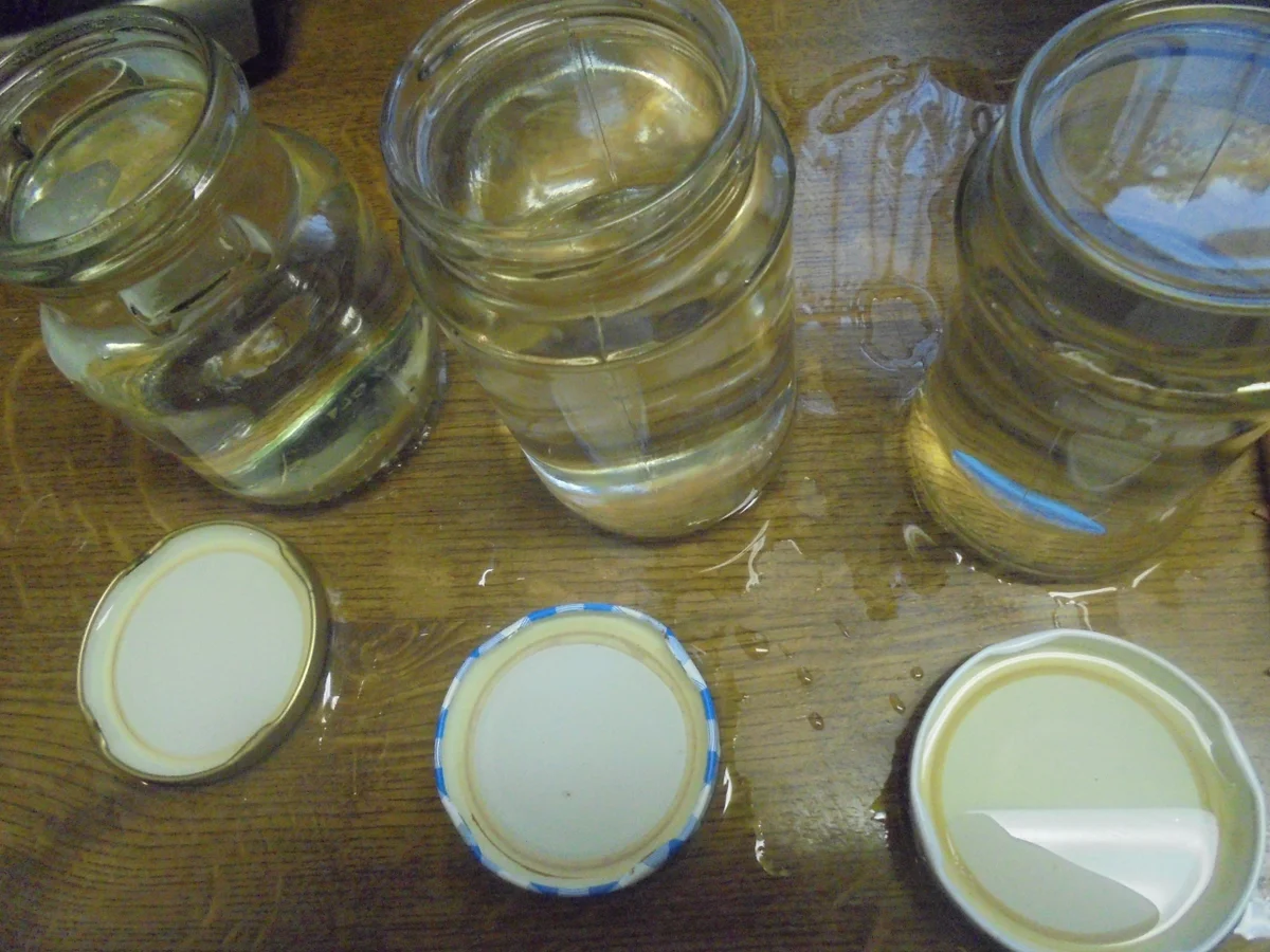 Rezept: Maraschino Kirschkonfitüre Bild Nr. 7 Maraschino Kirschkonfitüre - Rezept - Bild Nr. 7