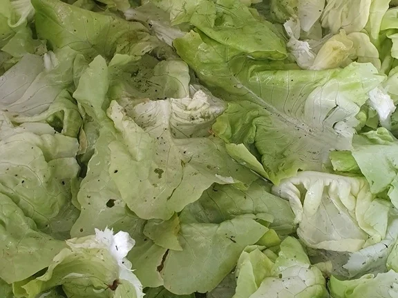 Gemüsepfanne fix gemacht (mit zusätzlicher Variante Restepfanne) - Rezept - Bild Nr. 13