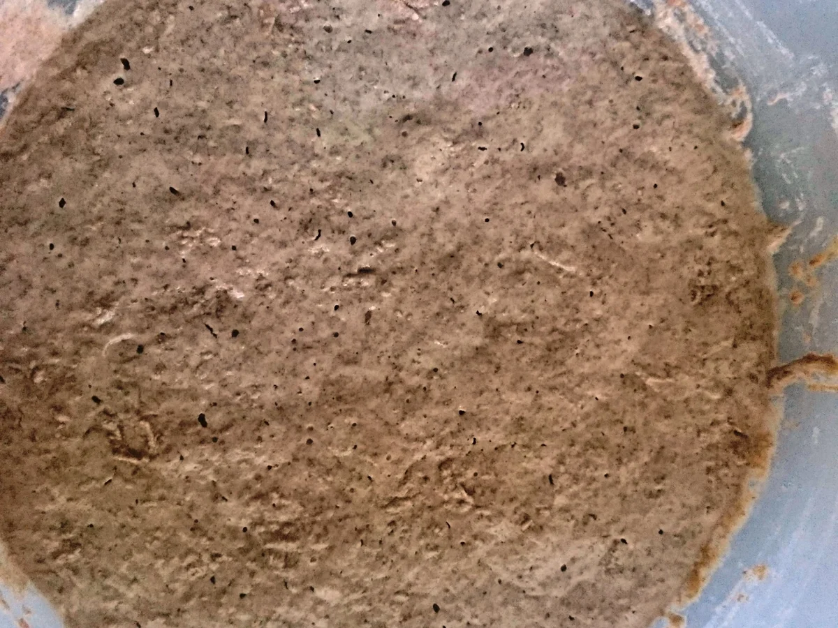 Mediterranes Zucchinibrot - Rezept - Bild Nr. 5