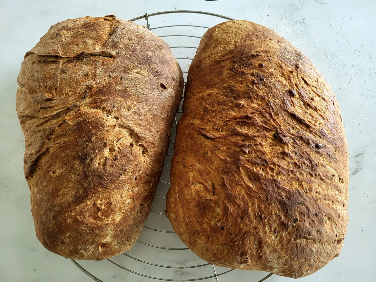 Mediterranes Zucchinibrot - Rezept - Bild Nr. 16751