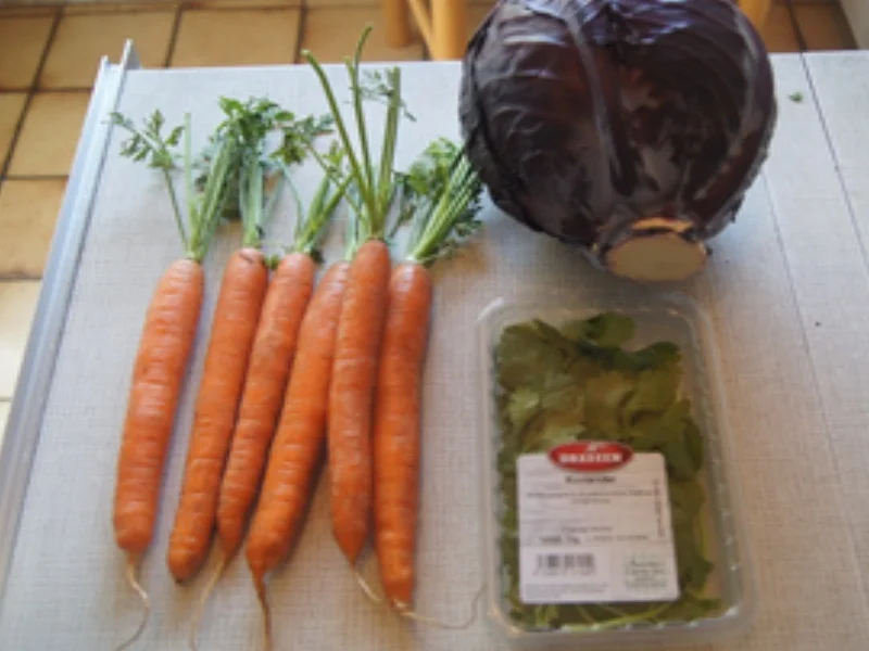 Rotkohlsalat asiatisch - Rezept - Bild Nr. 3