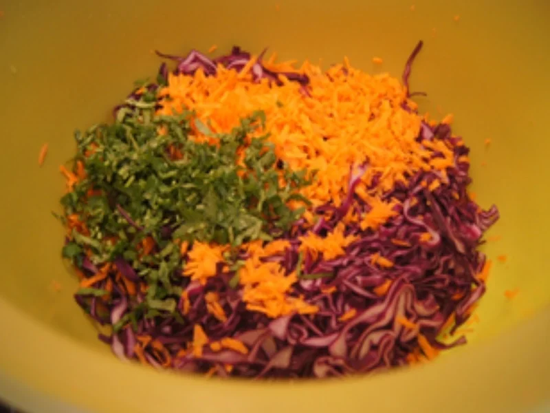 Rotkohlsalat asiatisch - Rezept - Bild Nr. 9