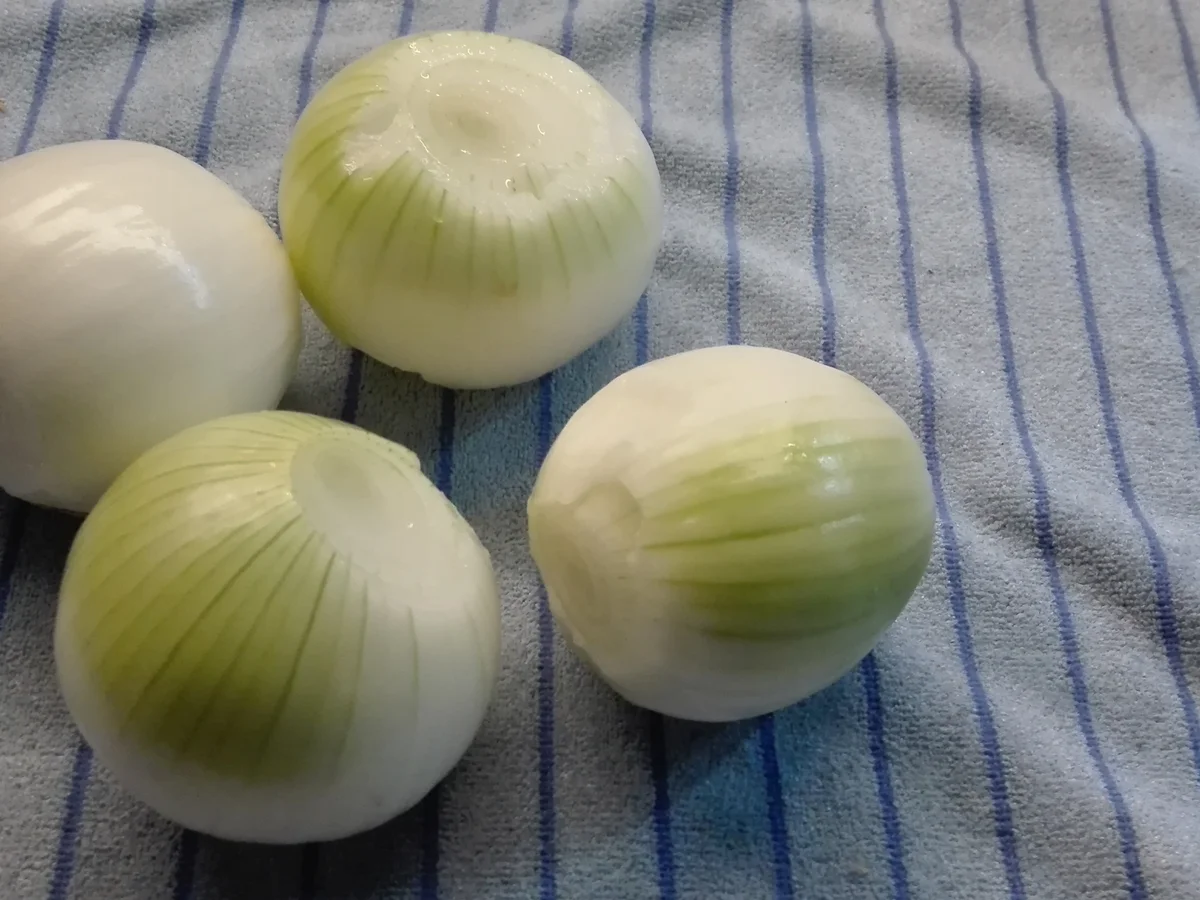 Brotaufstrich - Gemüse - Brotaufstrich - Rezept - Bild Nr. 11040