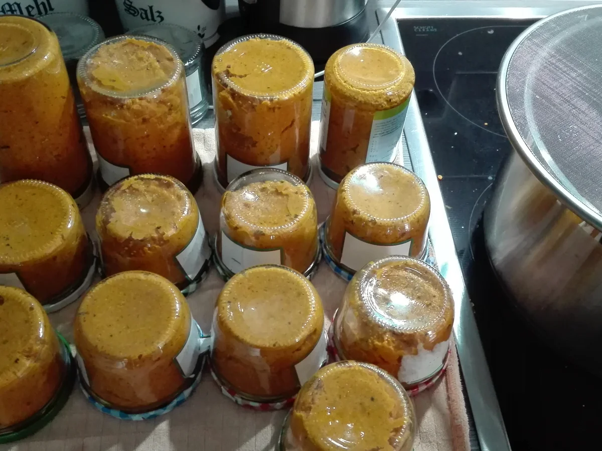 Brotaufstrich - Gemüse - Brotaufstrich - Rezept - Bild Nr. 11058