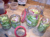 Senfgurken zweite Art - Rezept - Bild Nr. 11037