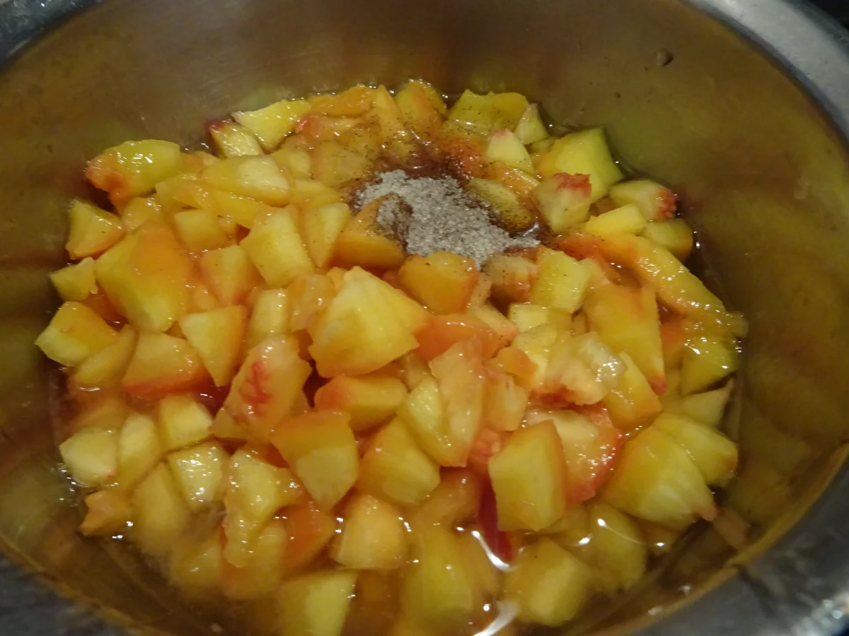 Pfirsich-Sorbet mit Heidelbeeren und Schoko-Minz-Waffeln - Rezept - Bild Nr. 8